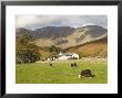 Wasdale Head With Pillar 2927Ft Behind, Wasdale Valley, Lake District National Park, England by James Emmerson Limited Edition Print