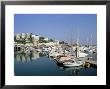The Harbour, Torquay, Devon, England, United Kingdom by John Miller Limited Edition Print