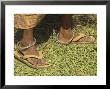 Female Farmer's Feet Standing On Henna Leaves, Village Of Borunda, India by Eitan Simanor Limited Edition Print