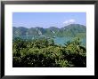 Phi Phi Don, Ko Phi Phi, Krabi Province, Thailand, Southeast Asia by Bruno Morandi Limited Edition Pricing Art Print