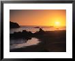 Harris Beach State Park, Brookings, Oregon, Usa by Michael Snell Limited Edition Print