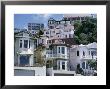Houses, Wellington, North Island, New Zealand by Adam Woolfitt Limited Edition Pricing Art Print
