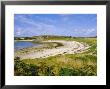 Bryner, Isles Of Scilly, England, Uk by David Lomax Limited Edition Print