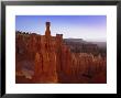 Rock Hoodoos, Thor's Hammer In Bryce Amphitheatre, Bryce Canyon National Park, Utah, Usa by Gavin Hellier Limited Edition Print