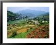 Rice Paddies And Brick-Maker At Longsheng In Northeast Guangxi Province, China by Robert Francis Limited Edition Print