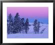 Winter Landscape, Yellowstone National Park, Unesco World Heritage Site, Wyoming, Usa by Colin Brynn Limited Edition Print