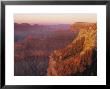 South Rim, Grand Canyon, Arizona, Usa by Demetrio Carrasco Limited Edition Print