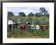 Letterboxes, Western Australia, Australia by Doug Pearson Limited Edition Pricing Art Print