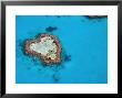 Aerial View Of Heart Reef, Great Barrier Reef, Queensland, Australia by Michele Falzone Limited Edition Print