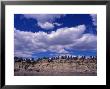 Yellowstone River At Pompeys Pillar National Historic Landmark, Billings, Montana by Connie Ricca Limited Edition Print