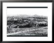 Riverside, California by William Henry Jackson Limited Edition Print