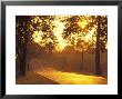 Route 11 Outside Mount Jackson, Virginia, At Sunset by Richard Nowitz Limited Edition Pricing Art Print
