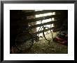 Old Bicycle Catches The Sunlight At The Fenton Farm Near Greenleaf, Kansas by Joel Sartore Limited Edition Print