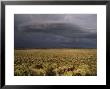 Photograph Of Sagebrush Fields North Of Susanville On Highway 395, California by Phil Schermeister Limited Edition Print