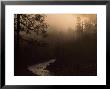 South Fork Of Smith River At Sunrise, California by Phil Schermeister Limited Edition Print