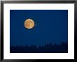Full Moon On A Summer Night by Taylor S. Kennedy Limited Edition Pricing Art Print