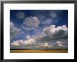 Cumulus Clouds In Sky Over Prairie by John Eastcott & Yva Momatiuk Limited Edition Print