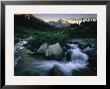 View Of A Rushing Stream In Yosemite National Park by Phil Schermeister Limited Edition Print