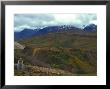 Arctic Ground Squirrel In Denali National Park, Alaska by Nick Norman Limited Edition Print