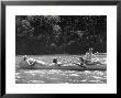 Friends Enjoying Themselves On Their Canoe Trip In The Potomac River by Thomas D. Mcavoy Limited Edition Print
