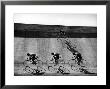 Bicycles Forming Distorted Designs On Track As Peddlers Grind Away In The 4,000 Meter Team Pursuit by Ralph Crane Limited Edition Print