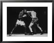 Boxers Competing In Golden Gloves Bout, 1940 by Gjon Mili Limited Edition Pricing Art Print