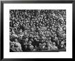 Opening Day Of Baseball, Crowd Watching As Ball Flies Overhead by Francis Miller Limited Edition Pricing Art Print