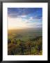 Gloucestershire, England by Peter Adams Limited Edition Print