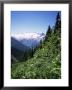 Bonney Range, Glacier National Park, Rocky Mountains, British Columbia, Canada by Geoff Renner Limited Edition Print