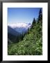 Bonney Range, Glacier National Park, Rocky Mountains, British Columbia, Canada by Geoff Renner Limited Edition Pricing Art Print