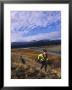 Women Trail Running In Yellowstone National Park, Wyoming by Bobby Model Limited Edition Print