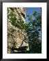 Base Of The Pinnacle Of Pilot Mountain, A Monadnock That Rises 1,400 Feet by Raymond Gehman Limited Edition Print