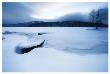 Lake Of Woods Boat In Snow by Shane Settle Limited Edition Pricing Art Print