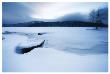 Lake Of Woods Boat In Snow by Shane Settle Limited Edition Print