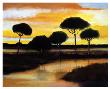 Alberi Di Pisa At Sunset by Judith D'agostino Limited Edition Pricing Art Print