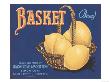 Basket by Elizabeth Garrett Limited Edition Print