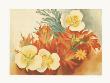Mariposa Lilies by Georgia O'keeffe Limited Edition Pricing Art Print