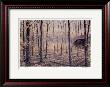 Woodland Retreat by J. Vanderbrink Limited Edition Print