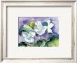 White Violet by Lynn Donoghue Limited Edition Pricing Art Print