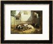 Family Of Pigs by John Frederick Herring I Limited Edition Pricing Art Print