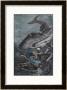 20,000 Leagues Under The Sea: Divers Attacked By A Shark by Henry Austin Limited Edition Pricing Art Print