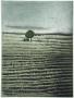 Velo Abandonne by Annapia Antonini Limited Edition Pricing Art Print