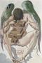 Dc Purgatoire 01 - L'ange Dechu by Salvador Dali Limited Edition Print
