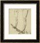 Study Of Legs, Drawing, Royal Library, Windsor by Leonardo Da Vinci Limited Edition Print