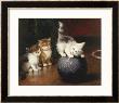 Leon Charles Huber Pricing Limited Edition Prints