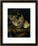 Willem Van Aelst Pricing Limited Edition Prints