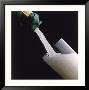Champagne Pouring Into Glass by Howard Sokol Limited Edition Print