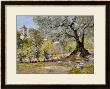 Olive Trees In Florence by William Merritt Chase Limited Edition Print