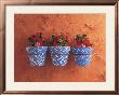 Mediterranean Pots by Anne Geddes Limited Edition Print