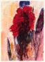 Canna Indica by Christian Rohlfs Limited Edition Pricing Art Print